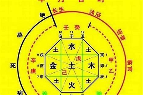 八字五行姓名|生辰八字起名